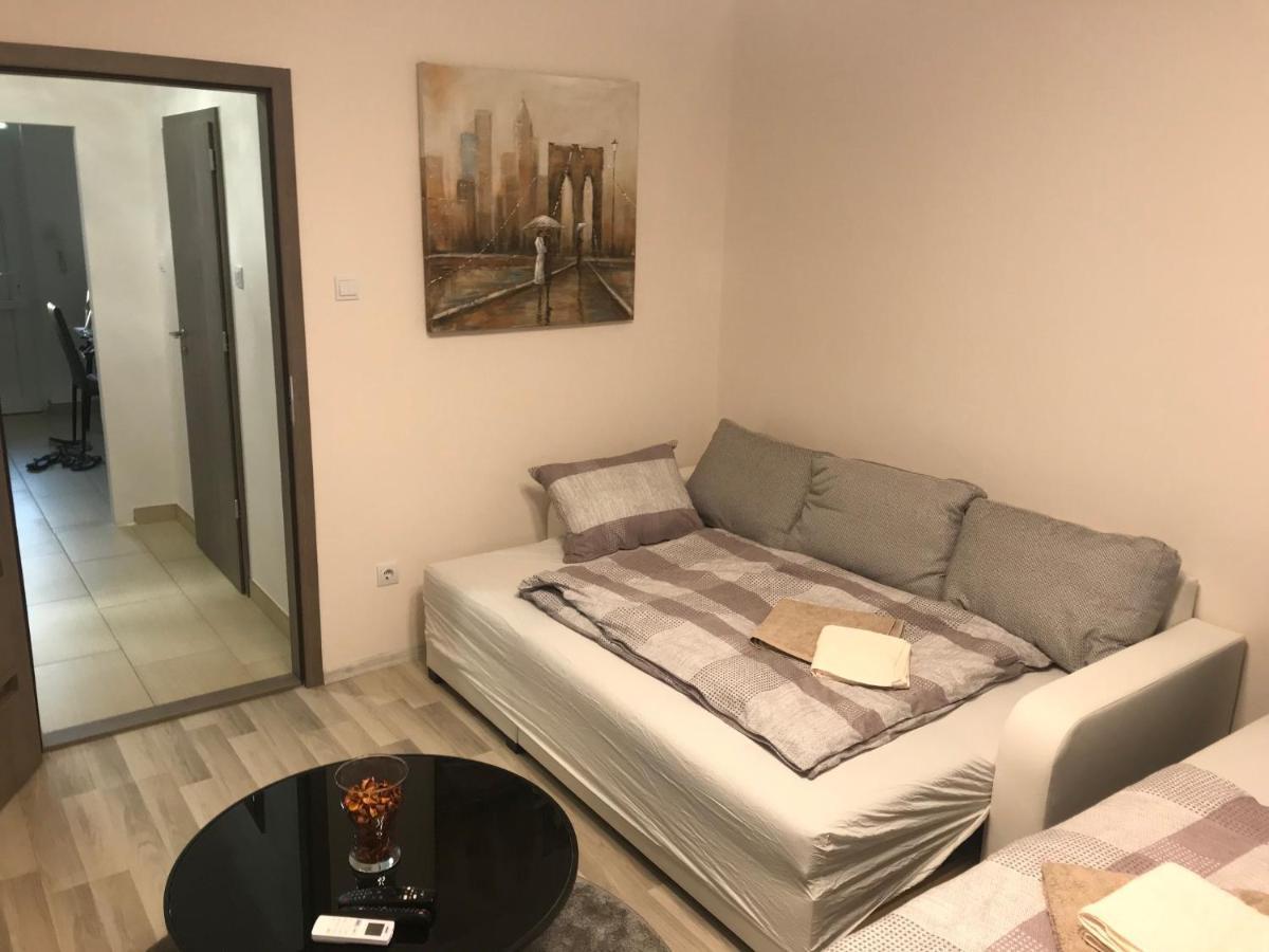 Classic City Apartman سيغيد المظهر الخارجي الصورة
